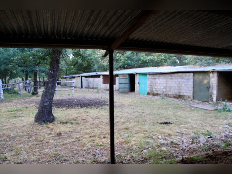 Mooi landgoed met cortijo in Salamanca – 200 hectare