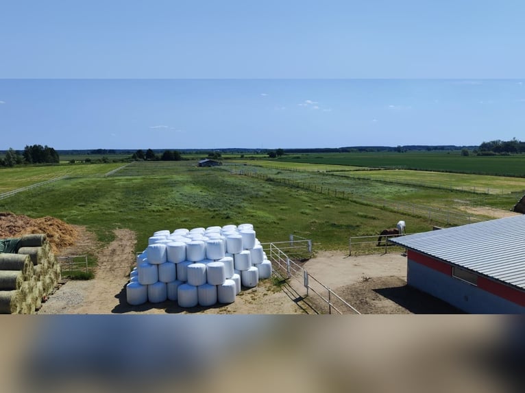 Na sprzedaż nowoczesny ośrodek jeździecki 