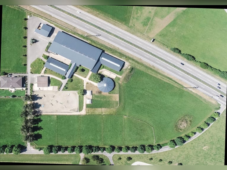 Oost-Zwitserland - Exclusief manegecomplex met een mediterrane villa en uitgestrekt landgoed