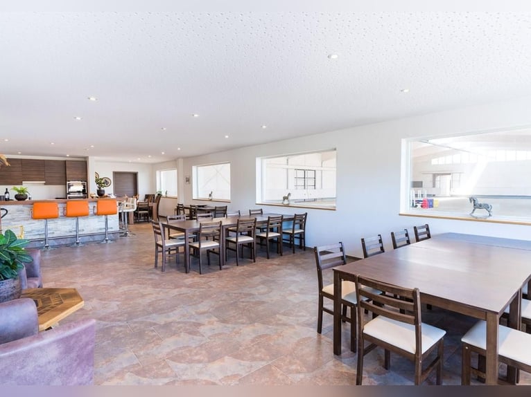 Oost-Zwitserland - Exclusief manegecomplex met een mediterrane villa en uitgestrekt landgoed