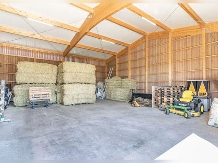 Oost-Zwitserland - Exclusief manegecomplex met een mediterrane villa en uitgestrekt landgoed