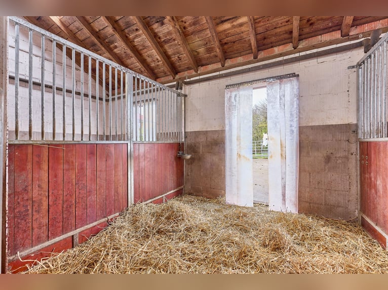 Paardenaccommodatie te koop in het Main-Kinzig-Kreis, gelegen op een privéperceel – slechts een uur 