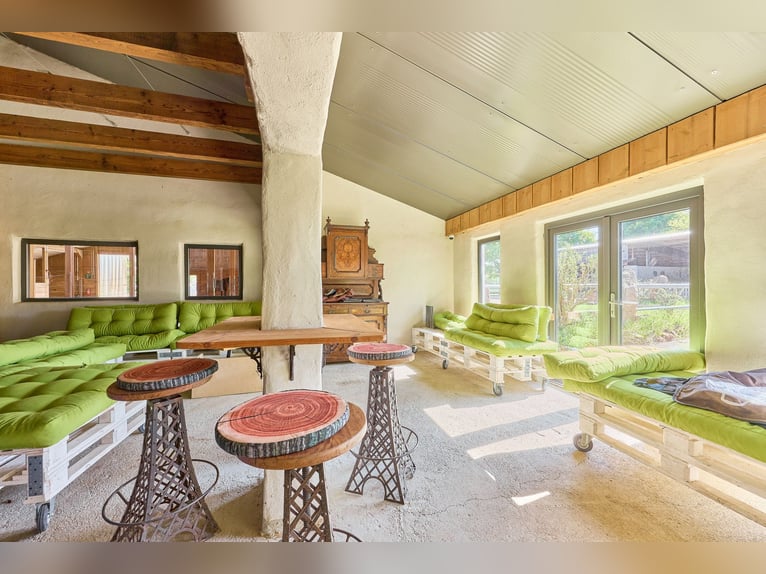 Paardenaccommodatie te koop in Hütschenhausen, Rijnland-Palts – stijlvol wonen inclusief!