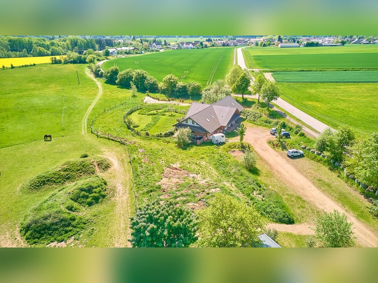 Paardenaccommodatie te koop in Hütschenhausen, Rijnland-Palts – stijlvol wonen inclusief!