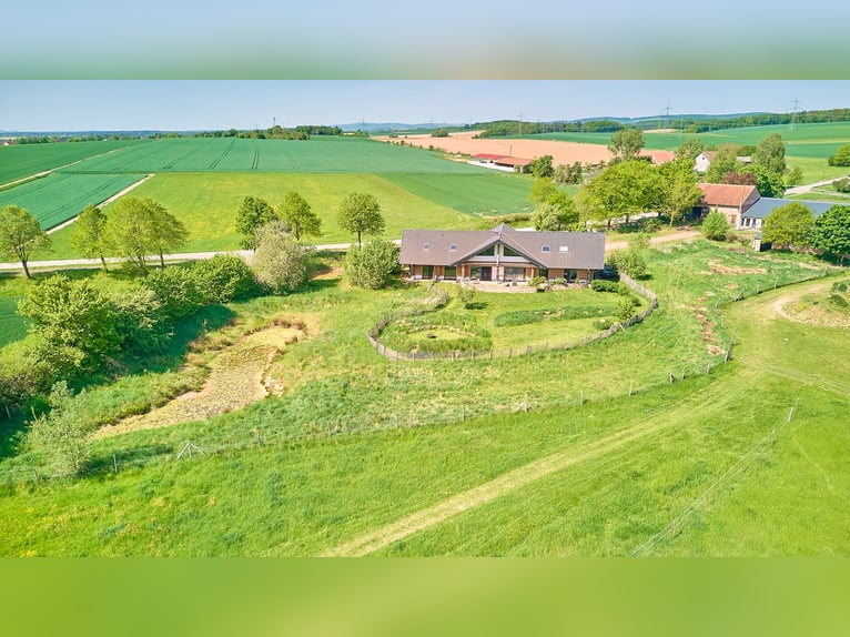 Paardenaccommodatie te koop in Hütschenhausen, Rijnland-Palts – stijlvol wonen inclusief!
