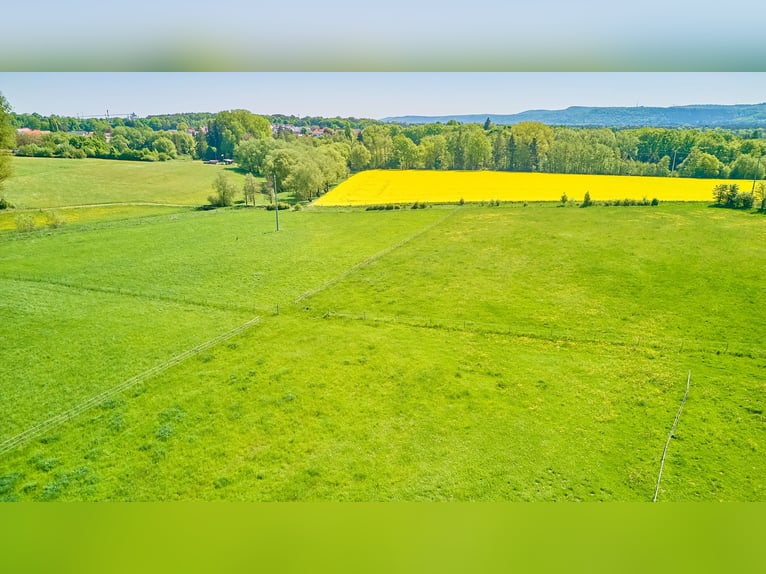 Paardenaccommodatie te koop in Hütschenhausen, Rijnland-Palts – stijlvol wonen inclusief!
