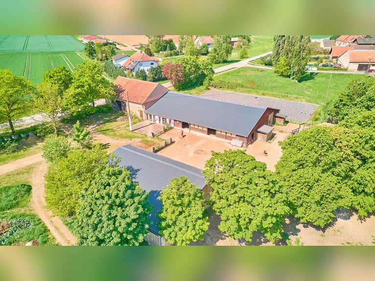 Paardenaccommodatie te koop in Hütschenhausen, Rijnland-Palts – stijlvol wonen inclusief!