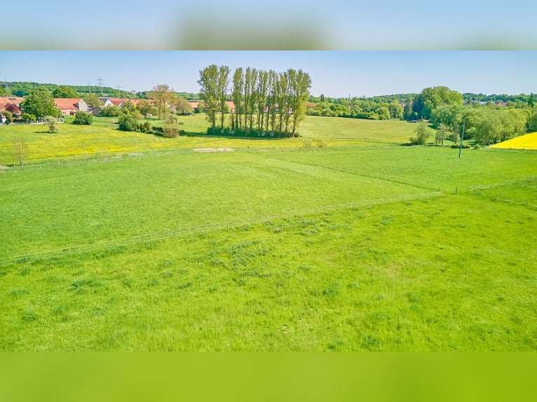 Paardenaccommodatie te koop in Hütschenhausen, Rijnland-Palts – stijlvol wonen inclusief!
