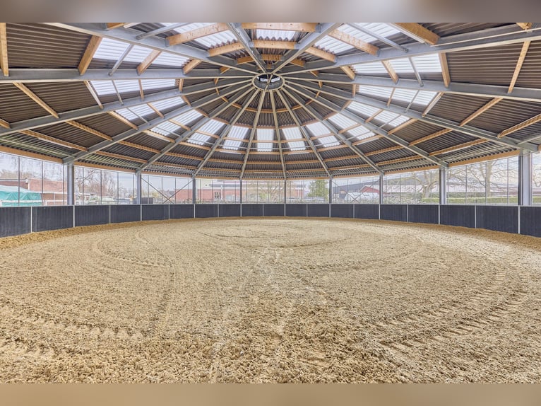 Paardenaccommodatie te koop in Nedersaksen op ongeveer 3 hectare grond – volledig gerenoveerd!