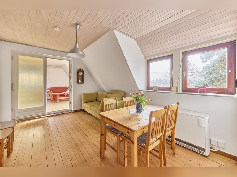 Paardenaccommodatie te koop in Nedersaksen op ongeveer 3 hectare grond – volledig gerenoveerd!