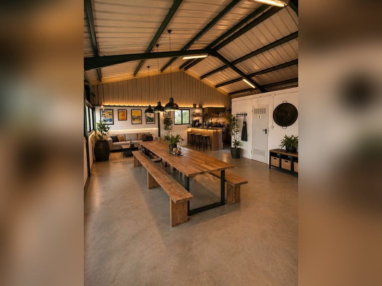 Paardenboerderij in Valencia