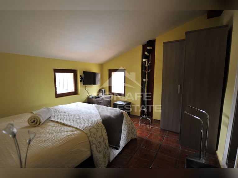 Paardenboerderij met stallen voor 12 paarden en rijbaan