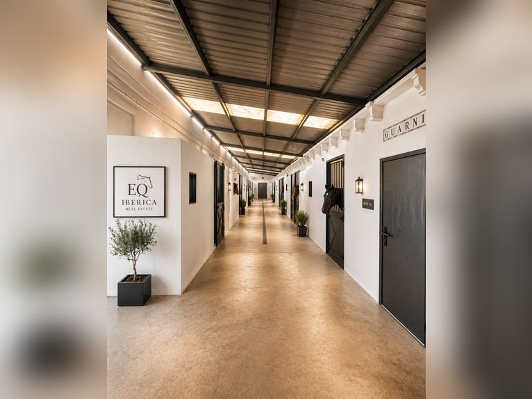 Paardeneigendom nabij de zee