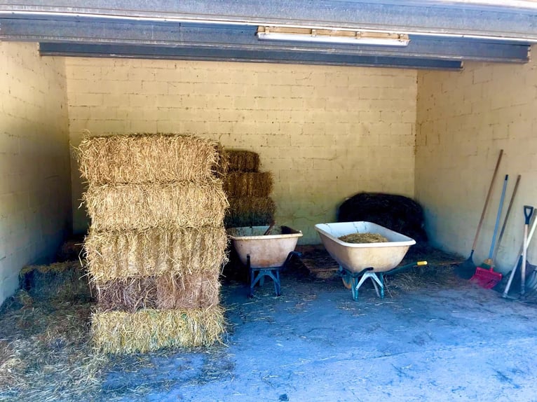 Paardenfaciliteiten in de beroemde regio van het Matarraña Landgoed