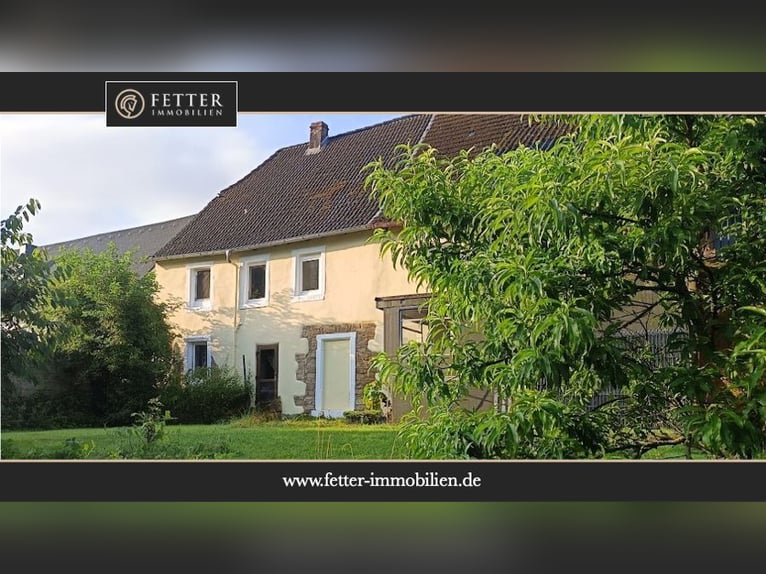 Paardenhouderij in Rijnland-Palts met 8 paardenstallen en een kleine hal in Niederhambach!