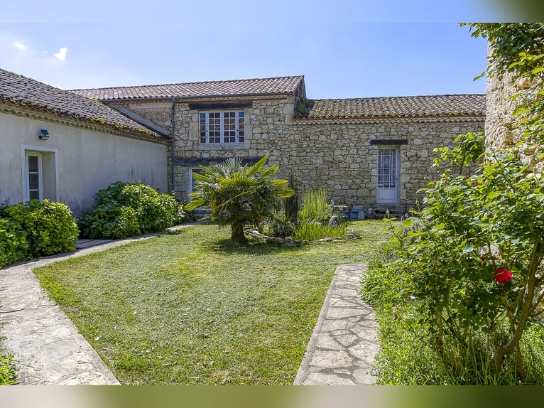 Paardenhouderij met vele mogelijkheden