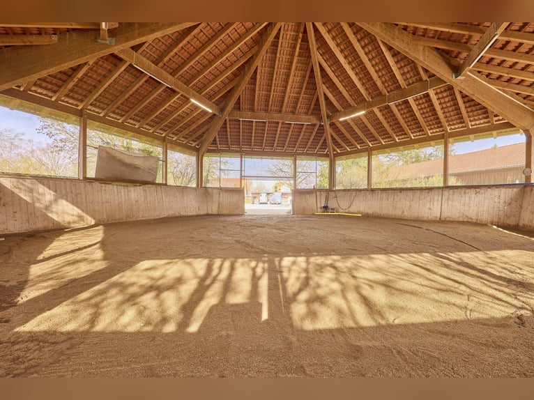 Paardenhouderij te koop in de Landkreis Kitzingen, inclusief een modern woonhuis uit 2019 en ruimte 