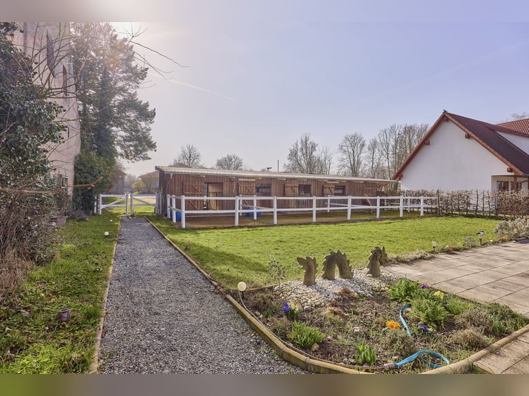 Paardenhouderij te koop in de Landkreis Kitzingen, inclusief een modern woonhuis uit 2019 en ruimte 