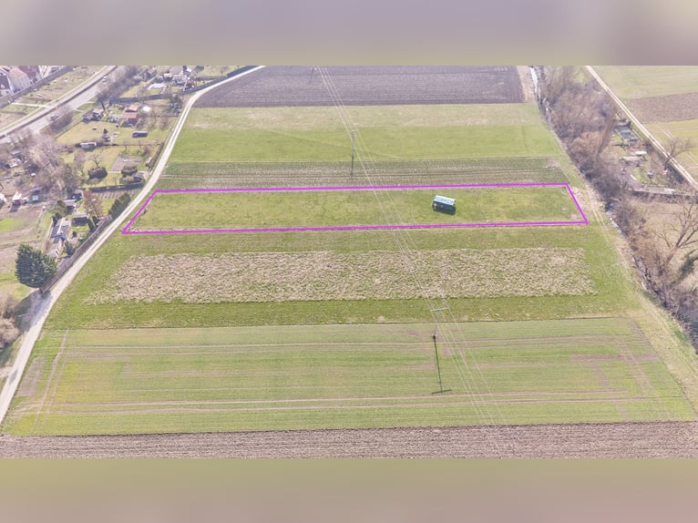 Paardenhouderij te koop in de Landkreis Kitzingen, inclusief een modern woonhuis uit 2019 en ruimte 