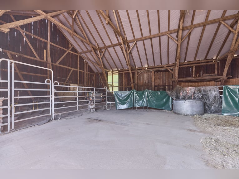 Paardenhouderij te koop in Enkenbach-Alsenborn – inclusief recent gebouwd woonhuis in een idyllische