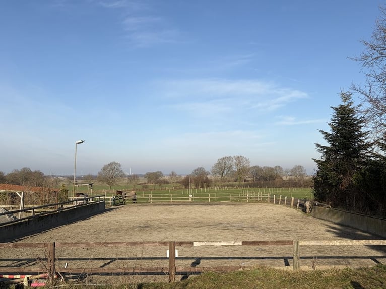 Paardenliefhebbershoeve met woonhuis aan de mooie rand van het dorp