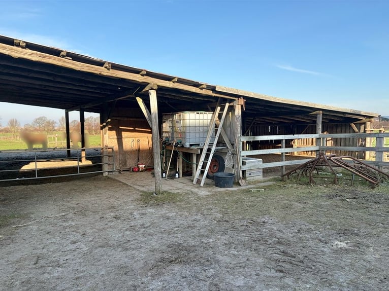 Paardenliefhebbershoeve met woonhuis aan de mooie rand van het dorp