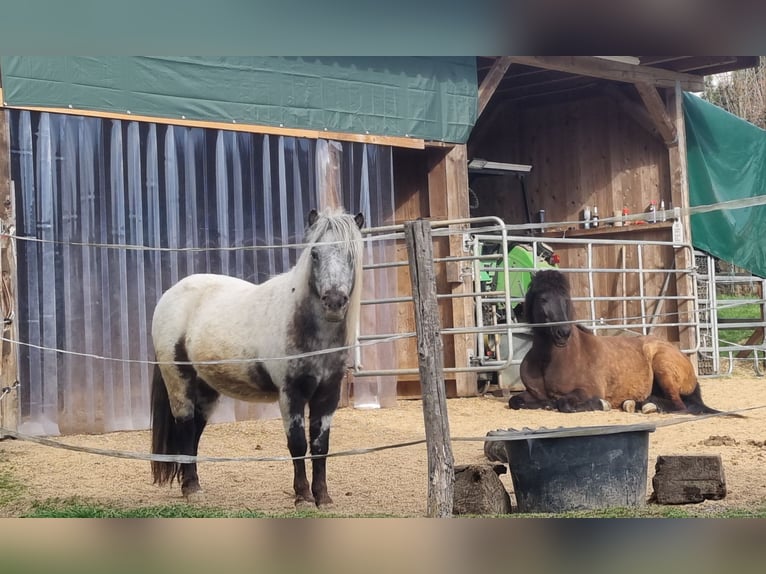 Paardenparadijs / Riante boerderij met €17.400