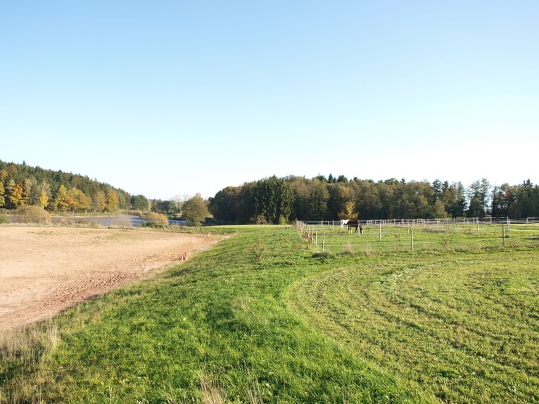 Paardenpension aan het meer