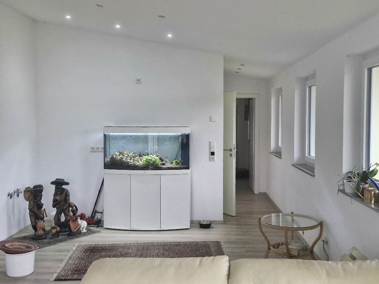 Paardenpension aan het meer