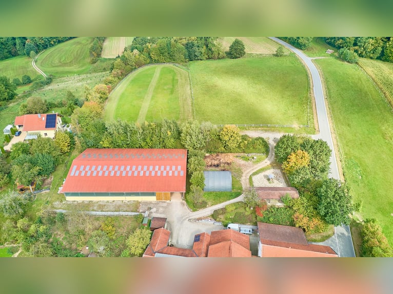 Paardenpension in Neder-Bayern met overdekte rijhal, stijlvol landhuis en verwarmd zwembad!
