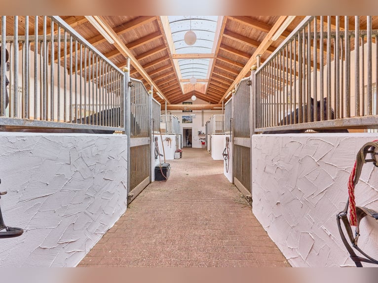 Paardenpension in Neder-Bayern met overdekte rijhal, stijlvol landhuis en verwarmd zwembad!