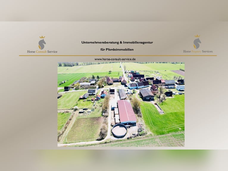 Paardenpension met groot woonhuis en ontwikkelingspotentieel