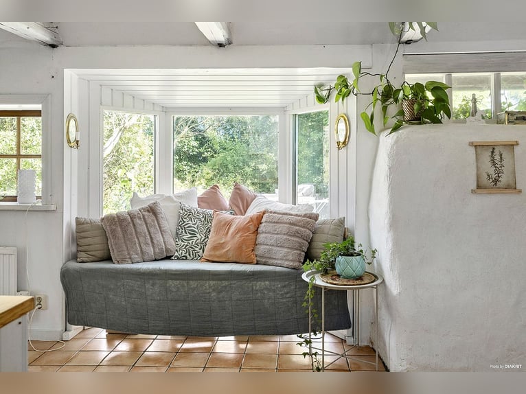 Paardenpension met oneindige mogelijkheden!