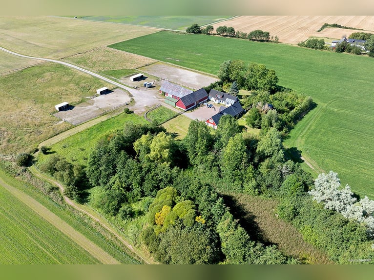 Paardenpension met oneindige mogelijkheden!