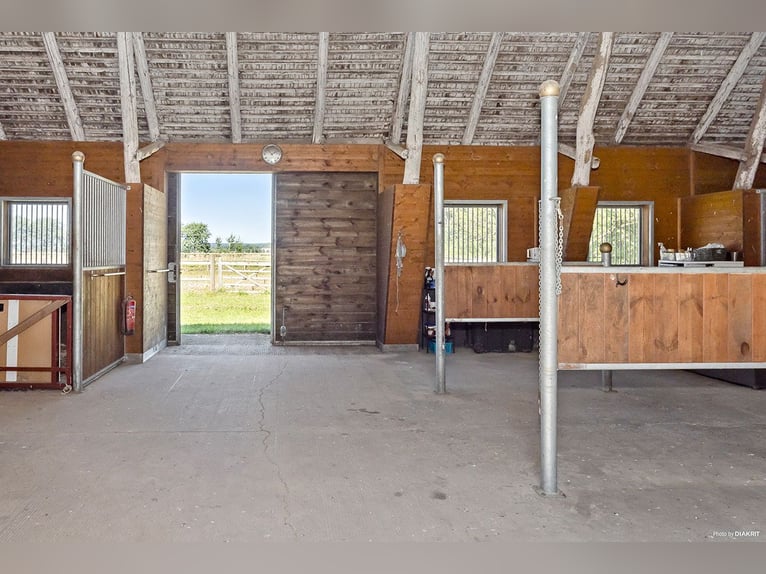 Paardenpension met oneindige mogelijkheden!