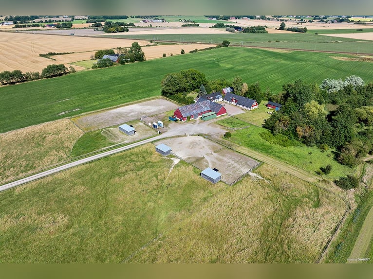 Paardenpension met oneindige mogelijkheden!