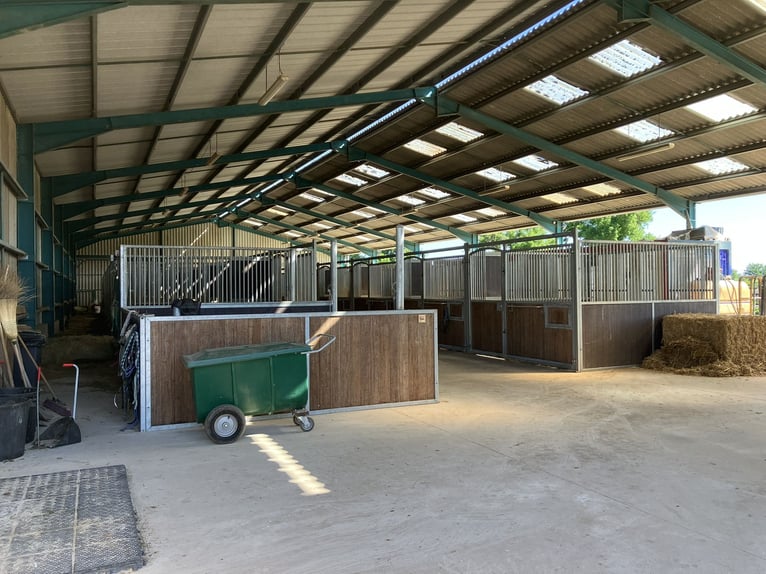 Paardenpension met woonst
