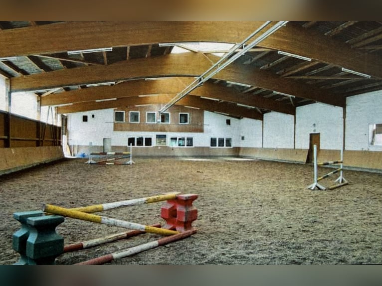 Paardenpension midden in Duitsland