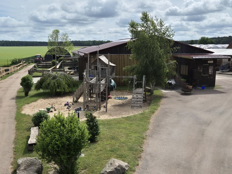 Paardenpension, pensionstall, therapiepaardenstal, fokkerijbedrijf