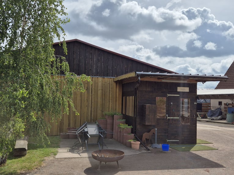 Paardenpension, pensionstall, therapiepaardenstal, fokkerijbedrijf