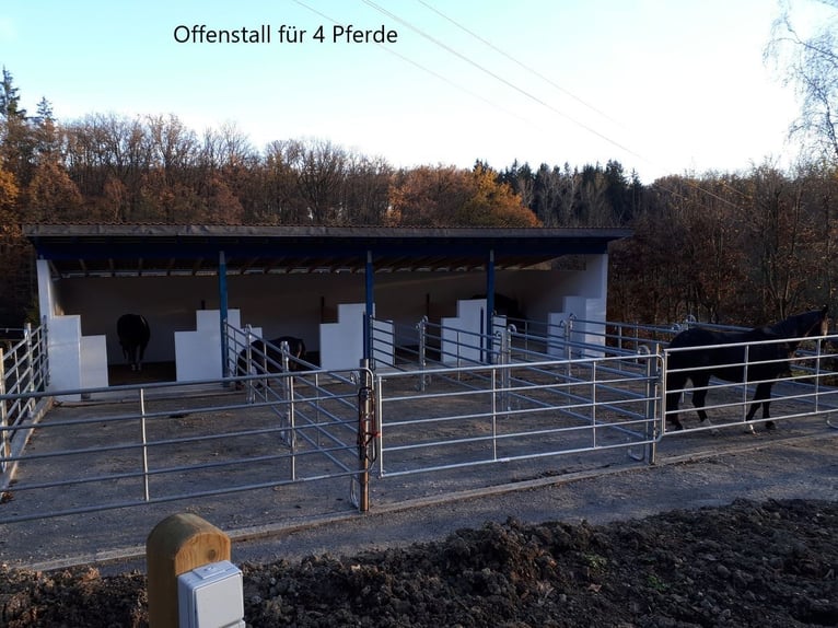 Paardenpension, rijhal, twee-onder-one-gebouw, vrij van provisie, met recent rapport