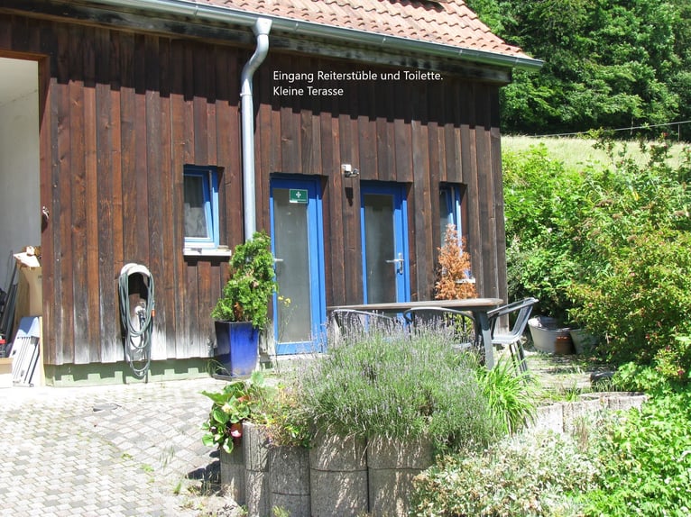 Paardenpension, rijhal, twee-onder-one-gebouw, vrij van provisie, met recent rapport