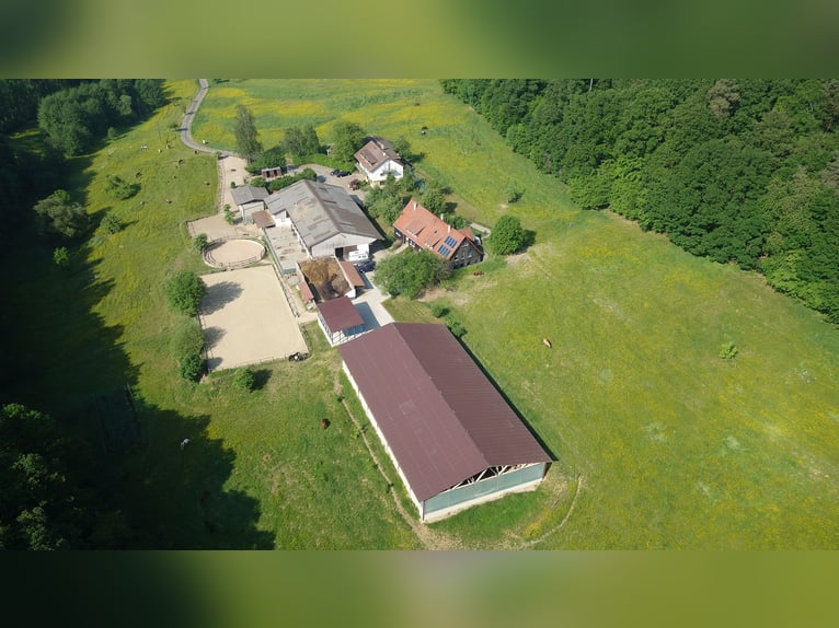 Paardenpension, rijhal, twee-onder-one-gebouw, vrij van provisie, met recent rapport