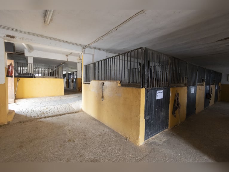 Paardensport en chalet te koop in de buurt van Valencia