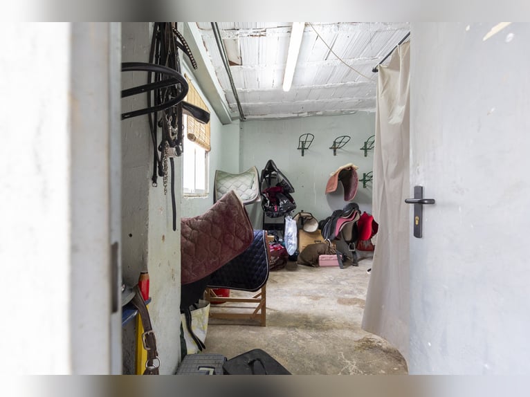 Paardensport en chalet te koop in de buurt van Valencia