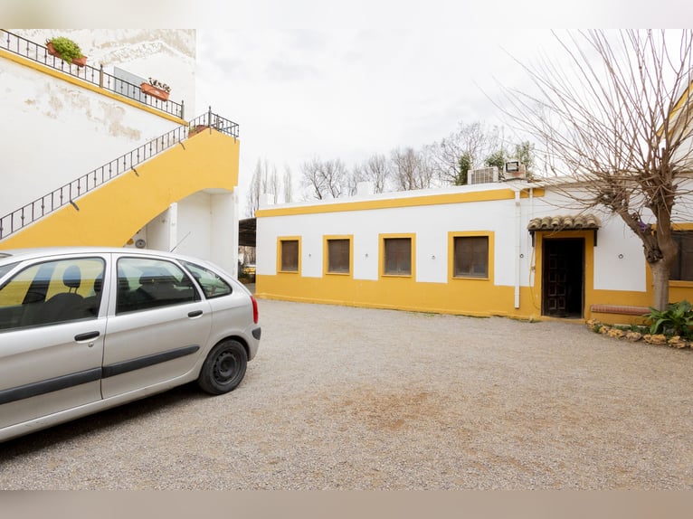 Paardensport en chalet te koop in de buurt van Valencia