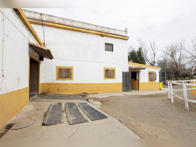 Paardensport en chalet te koop in de buurt van Valencia