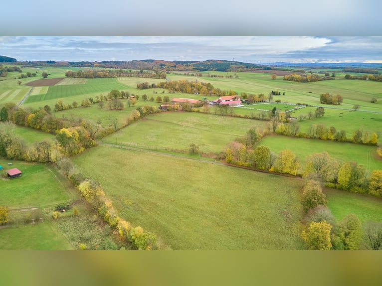 Paardensportcentrum in een afgelegen locatie in de Main-Kinzig-Kreis te koop – met een groot landhui