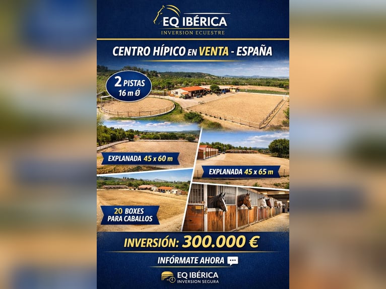 Paardensportcentrum in Noord-Castellón