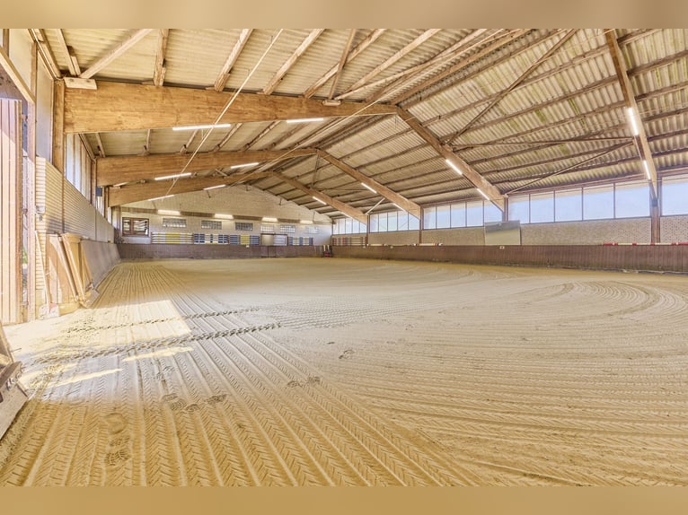 Paardensportcentrum te koop in Noordrijn-Westfalen nabij Münster – Modern landhuis, rijhal, springwe